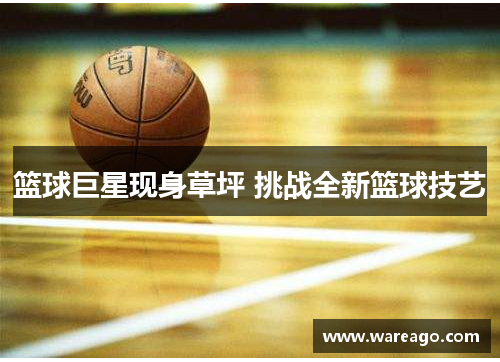 篮球巨星现身草坪 挑战全新篮球技艺