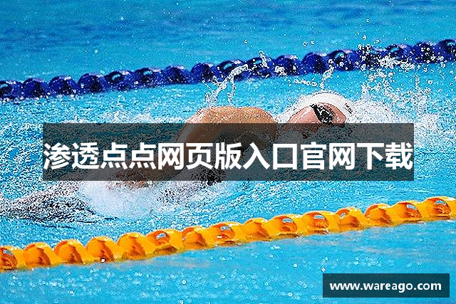 渗透点点网页版入口官网下载